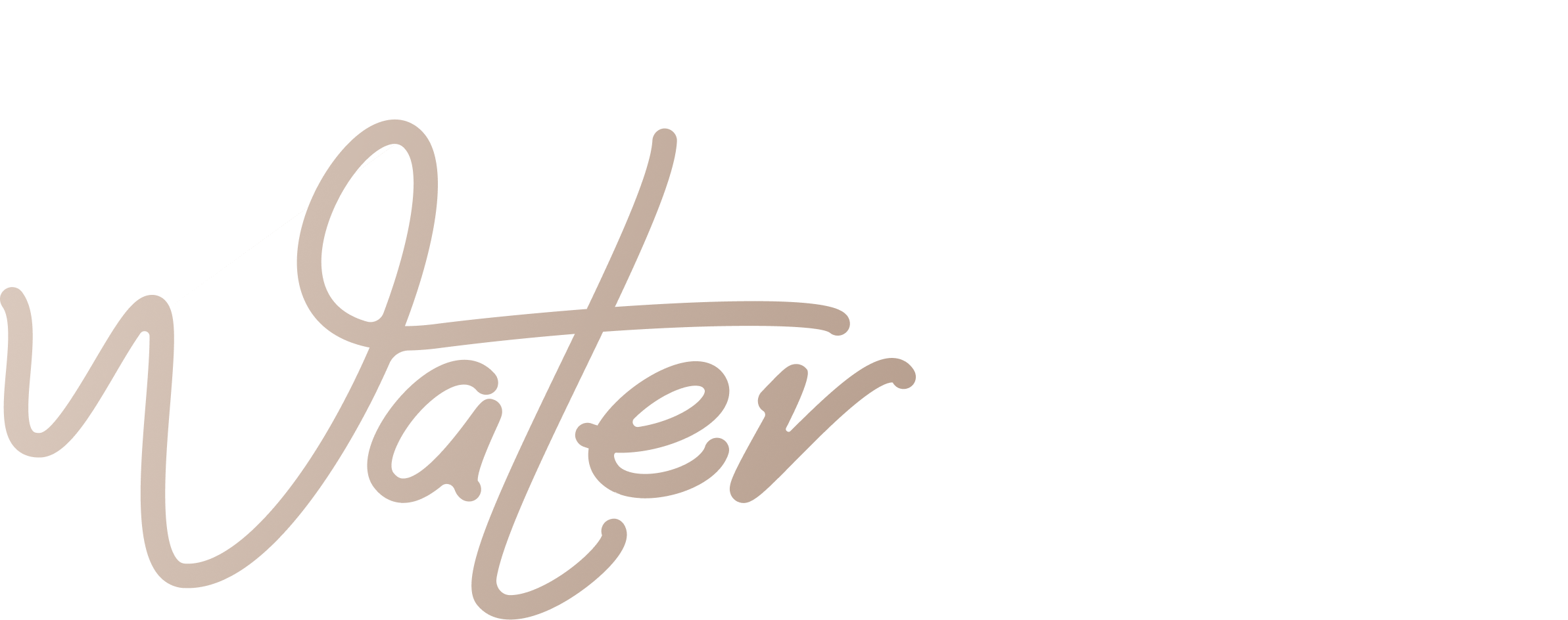 Spirit Pro Logo White